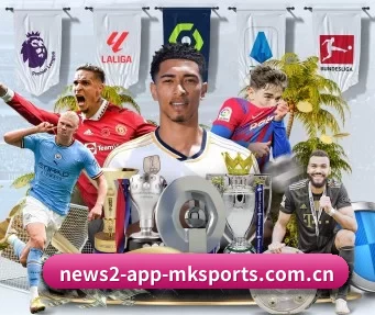 mk体育网址 APP