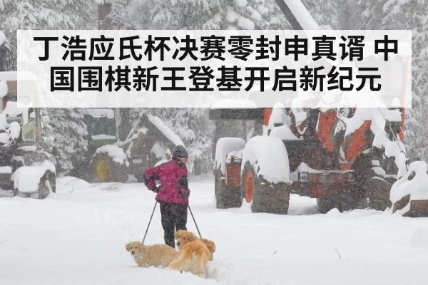 丁浩应氏杯决赛零封申真谞 中国围棋新王登基开启新纪元